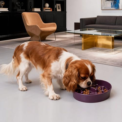 Ceramic Slow Feeder Dog Bowls, Ceramic Slow Feeder Maze Dog Food Bowl, Slow Eating Dog Bowl and Slow Feeder Dog Bowl Anti-Choking for Daily Pet Feeding （Purple Bone） - color: Purple Bone