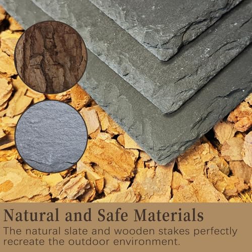 Bearded Dragon Basking Platform,Reptile Slate Rocks with Wooden Pile,Leopard Gecko Hides and Caves Climbing Tank Accessories for Lizards Snakes Tortoise Ball Python(Small)