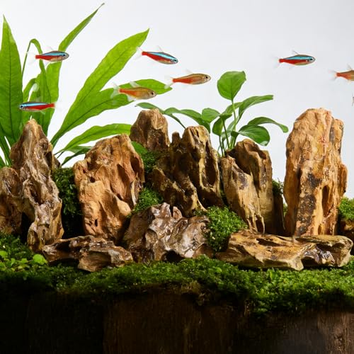 Natural Dragon Stones 10lb,Aquarium Aquascaping Rocks（2-8 inch） | Aquascaping Stone for Fish Tank,Terrariums,Paludariums, Reptile Enclosures & Gardens,Landscaping Rocks - color: Dragon Stone, size: 10Lb (2-8 inch)