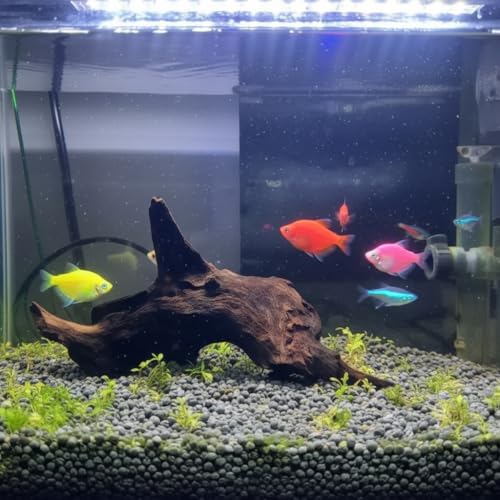 EmoursTM Aquarium Sinkable Driftwood Fish Tank Decoration (Small) - size: Small