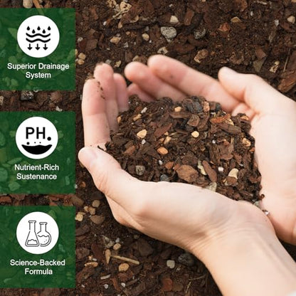 Doter Premium Bonsai Soil Mix with Enhanced Aeration & Drainage 1qt - Professional Grade Potting Soil for Bonsai Pots - color: Bonsai Soil, size: 1qt