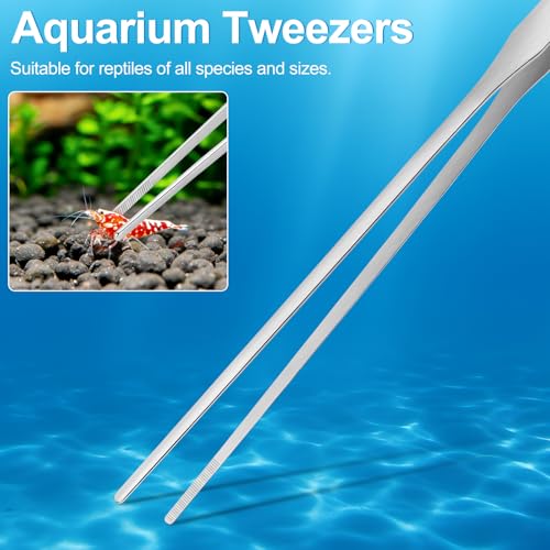 Oligei Terrarium Supplies 3 PCS, Stainless Steel Aquarium Supplies Set, Include Long Aquarium Tweezers, Curved Tweezers, Algae Scraper for Fish Tank Cleaning Plant Trimming