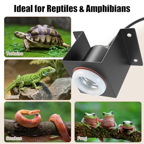 Reptile Ceramic Socket Heat Lamp Fixture, 2Pcs Terrarium Clamp Light Holder for Lizard, Gecko, Snake, Bearded Dragon, Dual On/Off Switch, 300W Max (Bulbs Not Included) - size: Concave Style