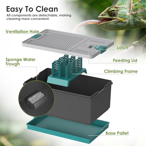 Self-Cleaning Reptile Feeder Insect Habitat with Escape-Proof Lid, Removable Climbing Frame, Water Sponge & Bug Spoon – Cricket/Roach Enclosure, Easy-Clean, Ventilated for Lizards, Frogs & Pets