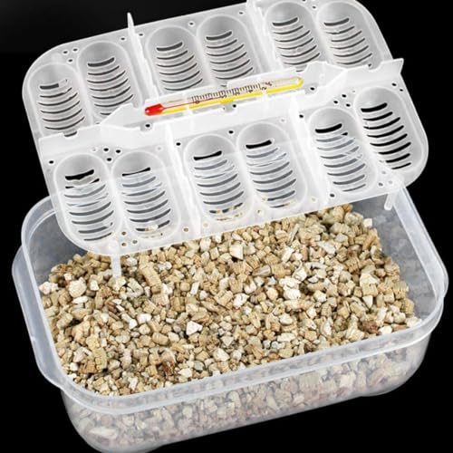 Reptile Incubation Box Reptile Incubator Egg Tray Hatching Box with 12 Grids for Turtle Gecko Lizards Mane Reptile Egg Incubators