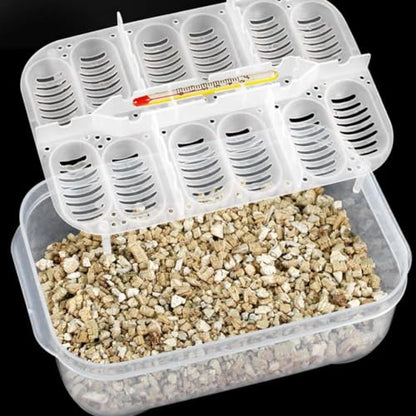 Reptile Incubation Box Reptile Incubator Egg Tray Hatching Box with 12 Grids for Turtle Gecko Lizards Mane Reptile Egg Incubators