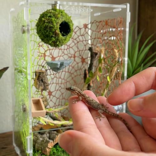 Jumping Spider Enclosure Accessories Kit - Magnetic Moss Ball Hideout, 2 Rock Ledges, Feeding Bowl, Climbing Mesh Nets & Rope Ladder - Natural Forest Habitat Decor for Regal (Moss Cave) - size: Moss Cave without Rope
