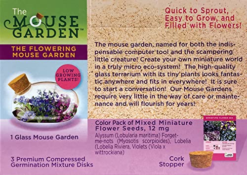 Mini Office Flower Glass Terrarium Starter Kit with Complete Supplies - The Flowering Mouse Tiny Garden - Easy to Maintain IndoorPlants - Perfect for The Office Or Home Tabletop
