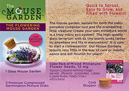 Mini Office Flower Glass Terrarium Starter Kit with Complete Supplies - The Flowering Mouse Tiny Garden - Easy to Maintain IndoorPlants - Perfect for The Office Or Home Tabletop