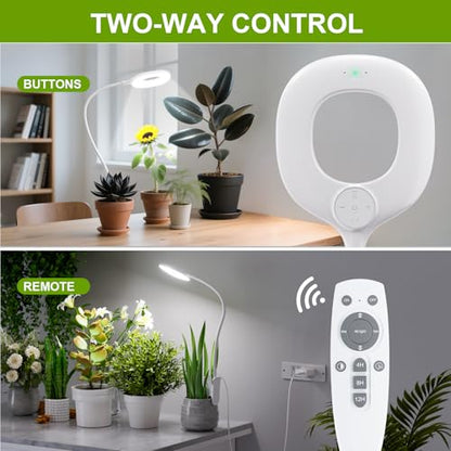 Clip On Full Spectrum LED Grow Light for Indoor Plants | Remote Control, 4/8/12H Auto Timer, 3 Lighting Modes, 10 Brightness Levels, Adjustable Gooseneck, For Small Plants
