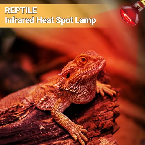Reptile Heat Lamp Blub, 2Pack 100W Day & Night Reptile Heat Lamp, UVA Daylight Heat Basking Bulb Infrared Heats Light Bulb for Reptiles Bearded Dragon Lizard Turtles