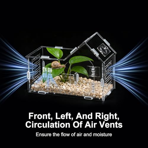 Mini Reptile Terrarium, Magnetic Acrylic Enclosure with Mushroom House Easy-Feed Hole & Front Opening for Bearded Dragon & Leopard Print Palace Guard Habitat (Reptile Terrarium A)