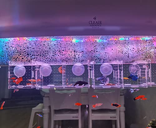 AWXZOM Acrylic Fish breeding Box, Acrylic Fish Isolation Box, Fish Separator for Aquarium, Hatchery Incubator with Suction Cups for Small Baby Fishes Shrimp Clownfish Guppy (3.9 * 3.9 * 3.9inch) - size: 3.9 * 3.9 * 3.9inch