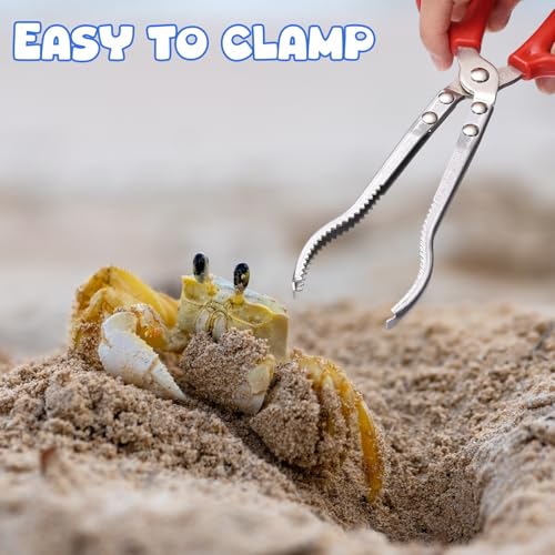 uxcell Crabbing Tongs, 11" Metal Serrated Extra Long Loach Tongs Beach Reptile Catching Clip Garbage Clip with Straight and Bent Head for Lobsters Loach Other Reptile, Red - size: 11"