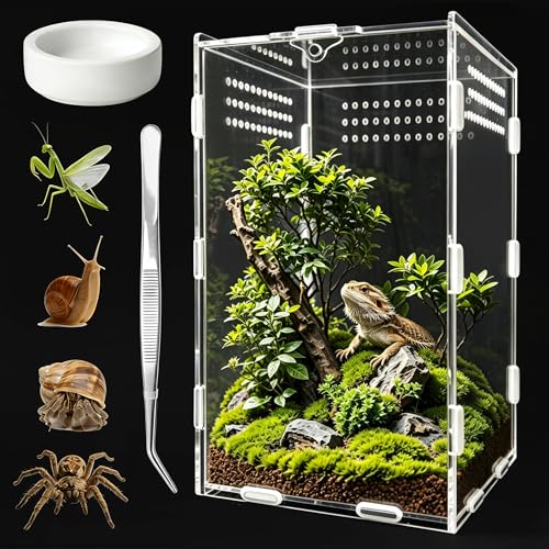 Jumping Spider Enclosure, Insect Terrarium, Bug Cage, Acrylic Terrarium for Tarantula, Snail, Praying Mantis, Frog, and Small Reptiles, Includes Tweezer and Bowl, (5.9" x 5.9" x 9.8") - size: 5.9" x 5.9" x 9.8"