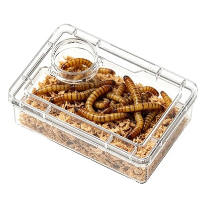 Bearded Dragon Food Bowl Clear Reptile Tank Accessories | Hermit Crab Food Bowl Lizard Feeder for Hermit Crab Frog Spider Chameleon Iguana Lizard Tarantula - color: White
