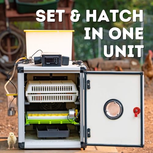 Incubators for Hatching Eggs – 60 Egg Incubator Setter & Hatcher with Automatic Turner & Digital Humidity Control Cabinet, Compact Chicken Incubator & Quail Egg Incubator by Hatching Time - size: 60 Eggs, style: Egg Incubator and Hatcher