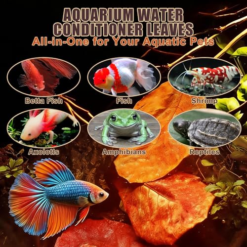 Indian Almond Leaves for Betta Fish,10Pcs Catappa,20Pcs Oak Leaves & 30Pcs Longan,Aquarium Water Conditioner Leaf,pH Balancing Water Conditioner Leaf for Betta Fish,Shrimp,Frogs,Axolotl Tanks