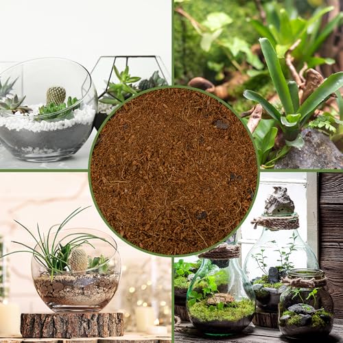 Soil Sunrise Terrarium Potting Soil Mix (8 Quarts) w/Blended Filtering Charcoal Custom Made for Terrariums