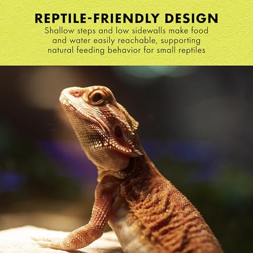 Zilla Terraced Dish, Reptile Feeding Dish, Stable and Spill-Resistant, Ideal for Geckos, Skinks, Snakes and Lizards, Medium - size: Medium