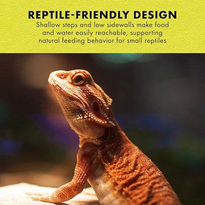 Zilla Terraced Dish, Reptile Feeding Dish, Stable and Spill-Resistant, Ideal for Geckos, Skinks, Snakes and Lizards, Medium - size: Medium