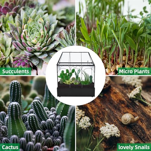 Glass Terrarium with Metal Tray, Glass Greenhouse Terrarium Kit for Succulents, Cacti, Snails, Spiders, and Miniature Reptiles, Black (Large-9.45" L x 5.7" W x 11.8" H) - size: Large-9.45"L x 5.7"W x 11.8"H
