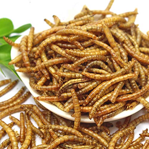 DIIG Non-GMO Dried Mealworms/Crickets/Black Soldier Fly - Treats for Birds Chickens Hedgehog Hamster Fish Reptile Turtles (5 lb, Mealworms) - size: 5 Pound (Pack of 1)