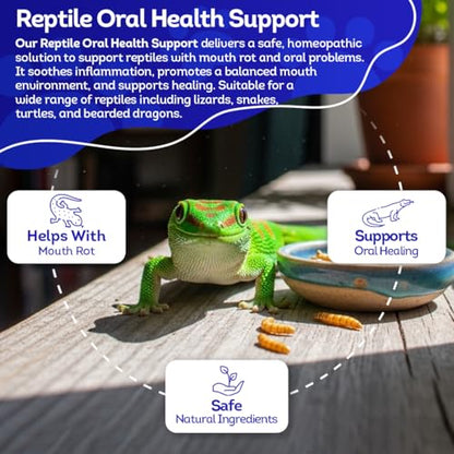 HealthyAnimals4Ever HA4E - Reptile Oral Health Support - Natural Mouth Rot Relief & Oral Hygiene Formula - Supports Gum Health, Comfort & Healing - 300 Tablets