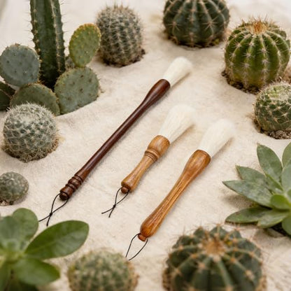 Cactus Plants Cleaning Brushes,Wooden Handles with Goat Hair Bristles,Garden Plant Cleaning Tools,Mild and Soft,Extra-Long Bristles，Three Different Lengths, Suitable for Various Plants and Scenarios.