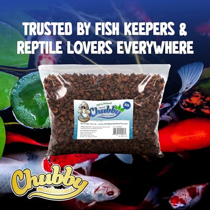 Chubby Dried Silkworm Pupae | 2 lbs | High-Protein Treat for Koi, Fish, Reptiles & Terrapins Nutrient-Rich Calcium Snack | High-Protein Treat, For Koi, Fish, Reptiles & Terrapins, Nutrient-Rich, Calcium Snack - size: 2 Pound (Pack of 1)
