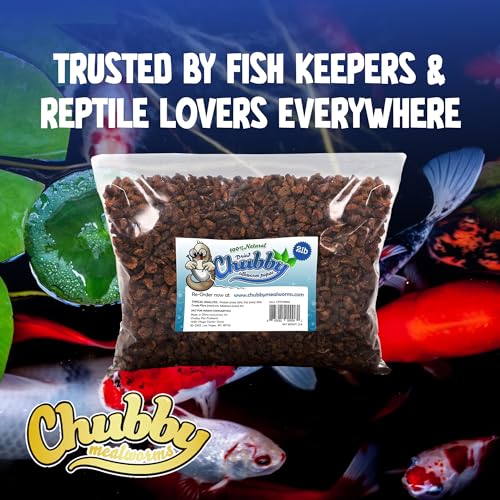 Chubby Dried Silkworm Pupae | 44 lbs | High-Protein Treat for Koi, Fish, Reptiles & Terrapins – Nutrient-Rich Calcium Snack - size: 44 Pound (Pack of 1)