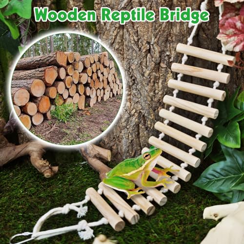 BNOSDM 2 Pcs Reptile Bridge Gecko Climbing Ladder Bearded Dragon Hammock with Suction Cup Wooden Basking Lounger Leopard Gecko Tank Accessories for Lizard, Hermit Crab, Frog, Snake - color: 2pcs-Solid wood