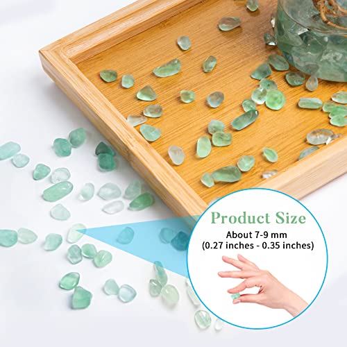 QICQDRAM Green Flourite Crystals Bulk Tumbled Chips Stone Natural 1LB | Small Tumbled Stones Crystal Chips Bulk for Healing Crystals Fish Tank Gravel Vase Filler (405g/14.28oz) - color: Green Flourite