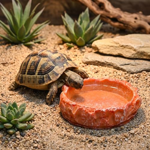 2-Pack Reptile Water Dish for Bearded Dragon Tortoise Gecko | Anti-tip shallow rock texture feeder. Non-porous hermit crab waterer, juvenile snake mealworm plate & terrarium accessories.