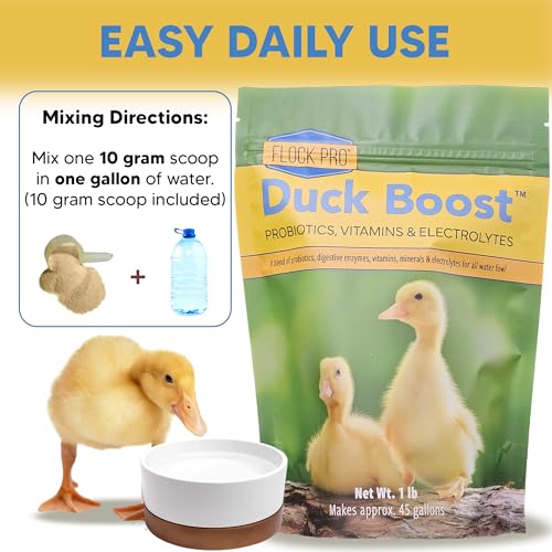 Duck Boost Probiotic - Probiotics, Vitamins, Minerals and Electrolytes for Chickens | Duck Vitamins and Supplements for All Poultry - 1lb - size: 1lb