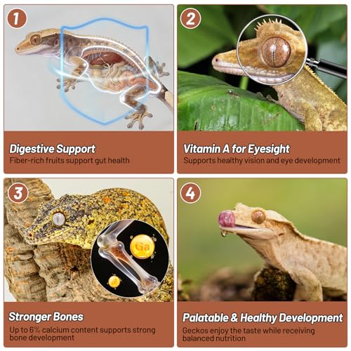 Gecko Food, Fruit Mix Apricot and Insects Gecko Diet