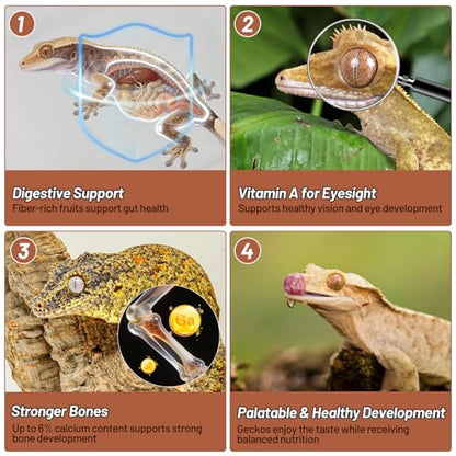 Gecko Food, Fruit Mix Apricot and Insects Gecko Diet