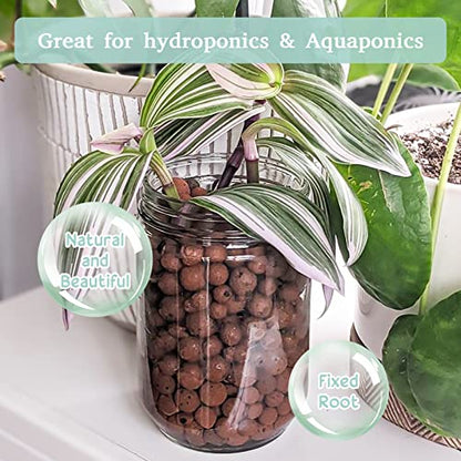 6LB Leca Clay Pebbles for Plants, 4mm-16mm Clay Balls for Hydroponic | Drainage, Reusable, Aeration, Moisture Retention, Lightweight, Natural Leca for Orchids, Succulents, Terrariums, Aquaponics - size: 6LB