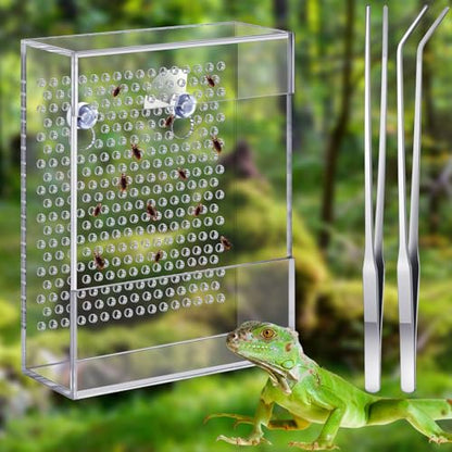 Geyoga Bearded Dragon Feeder with Suction Cups and 2 Tweezers Chameleon Bug Bowl Bug Feeder for Bearded Dragon Acrylic Reptile Feeding Box Tank and Aquarium Accessories for Lizard Gecko Frog(Clear) - color: Clear
