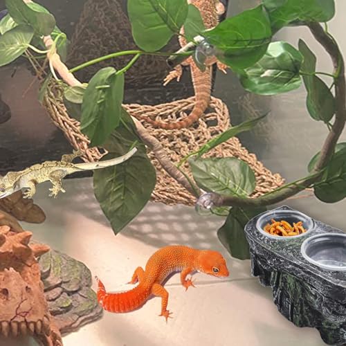 PINVNBY Reptile Feeding Ledge with Suction Cups,Crested Gecko Feeder Ledges with 2 Pcs Water & Food Bowls Double Lizard Dish Bearded Dragon Tank Accessories for Geckos Chameleon Spider Snake - size: 【1 PCS】