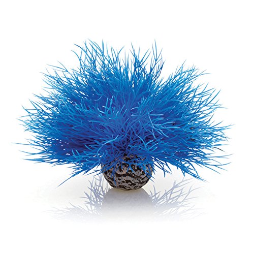 Sea Lily Blue - color: Blue, size: 1 Count (Pack of 1)
