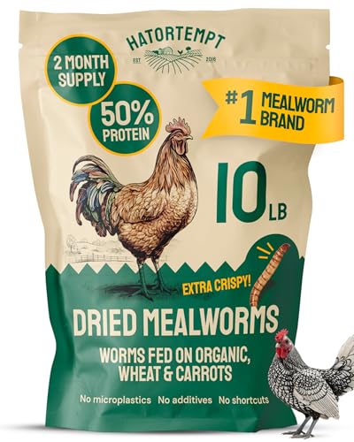 Hatortempt 10lb Dried Mealworms for Chickens & Wild Birds, Chicken Feed | High-Protein Chicken Food - Meal Worms Fed an Organic Diet - Hand Inspected Treats for Laying Hens & Ducks - 2 Yr Shelf Life - size: 10 Pound (Pack of 1)