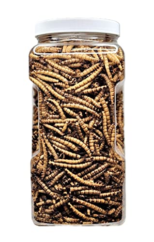 Superworms- Freeze Dried Superworms for Tropical Fish, Reptiles, Turtles, Tortoises, Frogs, Hamsters, Birds, Rodents…3oz Small Jar - size: 3 Ounce (Pack of 1)