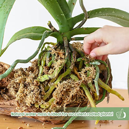 4.4LB Sphagnum Moss for Plants- 80QT Natural Long Fibers Orchid Moss | Moisture Retention & Drainage Balance, Plant Moss for Orchids, Succulents, Carnivorous, Ferns, Reptile Bedding & Terrariums - size: 80 QT(4.4 lb)
