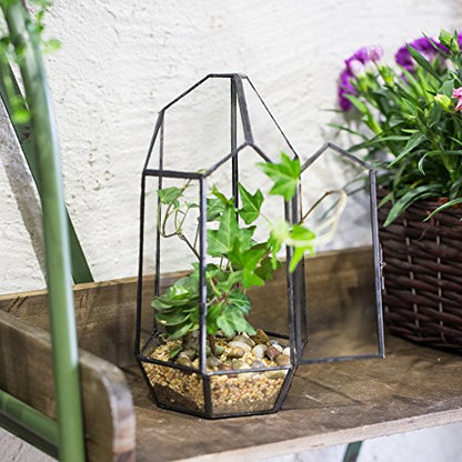 NCYP Small 5.1" x 5.1" x 8.66" Irregular Geometric Glass Terrarium Planter with Door - Home Tabletop Display Container Pot for Moss, Fern - Indoor Clear Decor, Black (No Plants)