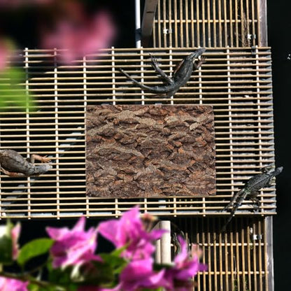TOYANDONA 2pcs Natural Cork Bark Terrarium Background - 11. 8x7. 9in Reptile Climbing Mat Hideout, Habitat Decor for Bearded Dragon Lizard Gecko Spider Turtle Tank Supplies