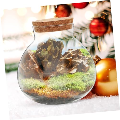 TIDTALEO Micro Landscape DIY Bottle with Cork Lid, 10X11Cm Glass Terrarium Jar for Succulents and Air Plants, Decorative Storage Container for Home Garden Gardening