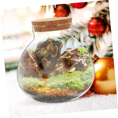TIDTALEO Micro Landscape DIY Bottle with Cork Lid, 10X11Cm Glass Terrarium Jar for Succulents and Air Plants, Decorative Storage Container for Home Garden Gardening