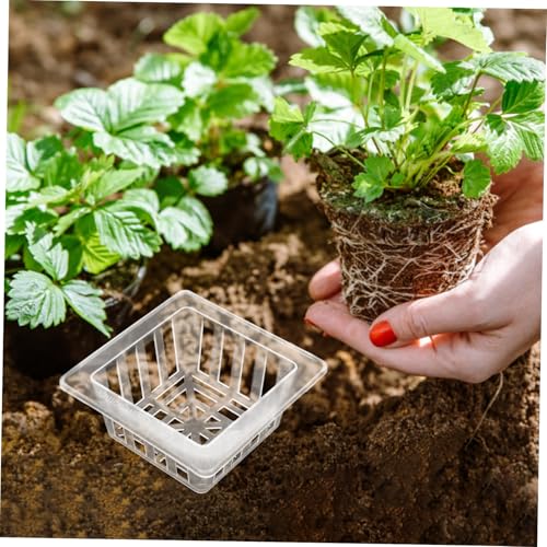 Toyvian 20pcs Transparent Square Hydroponic Mesh Pots for Planting Root Stabilizer Tool for Vegetables Flowers Herbs Material Efficient Drainage System