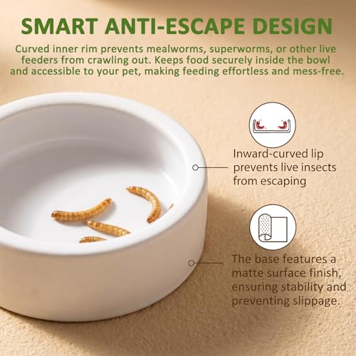 3 Pack Escape Proof Reptile Feeding Dish, Reptile Food and Water Bowl, Ceramic Worm Dish for Bearded Dragon, Lizard, Gecko